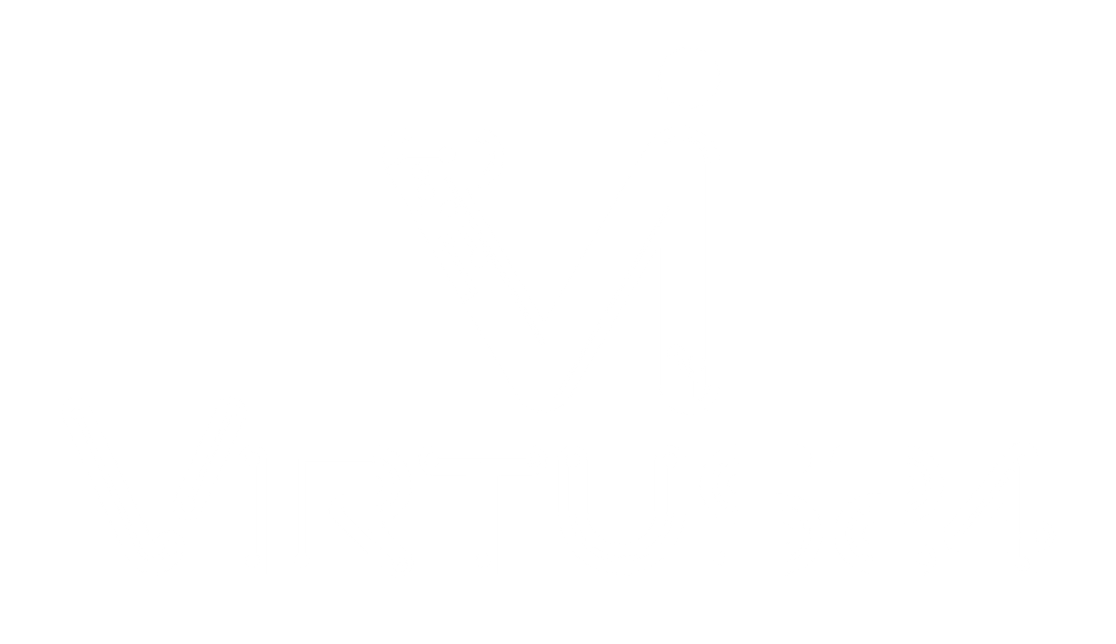 Virtus24 Logo